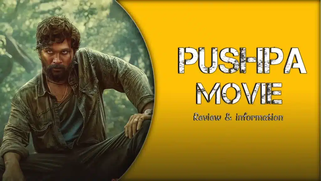 Pushpa The Rise Watch Hindi Full Movie Review